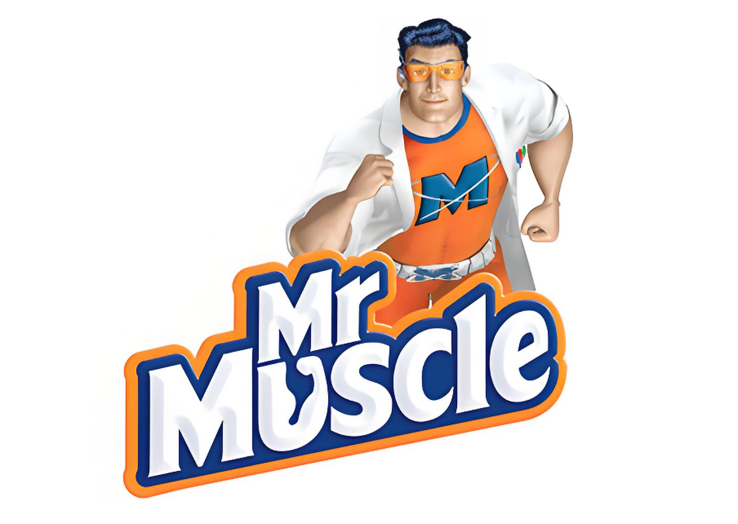 上海莊臣有限公司(威猛先生)