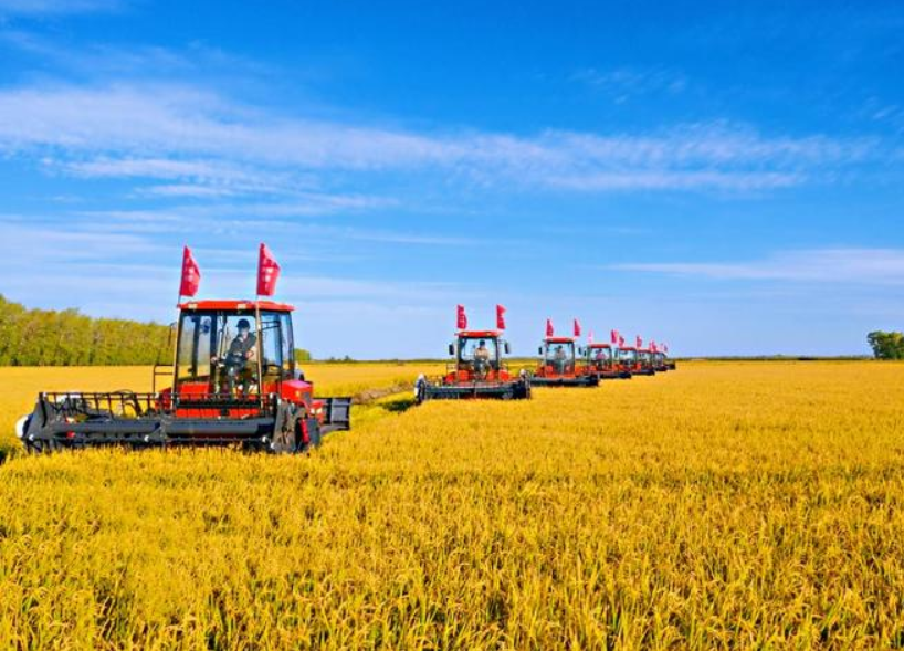 農(nóng)產(chǎn)品配送公司為您分享報(bào)道:今年全年糧食有望再獲豐收