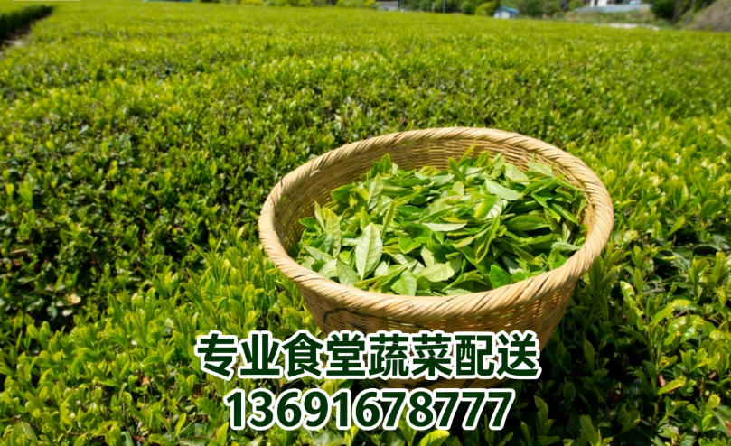 長(zhǎng)期喝綠茶到底好不好？佳惠鮮送菜公司來(lái)為您解答！