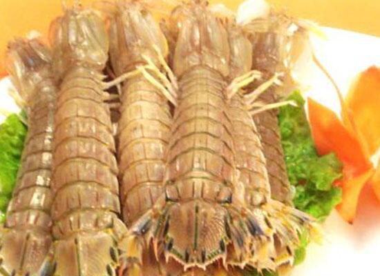 1760257279.jpg tupian_lainiaoxia.jpg