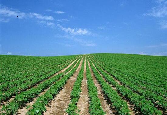 1760955183.jpg tupian_jidi08.jpg