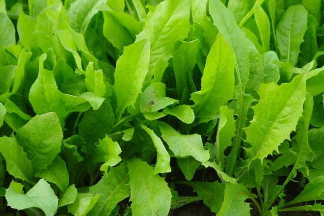 1760955839.jpg tupian_jidi17.jpg